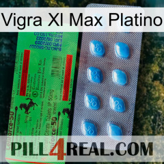 Vigra Xl Max Platinum new03